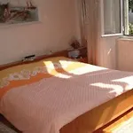 Vulicevic Apartament